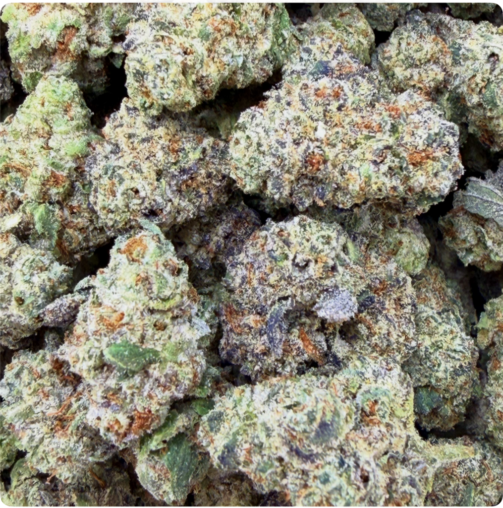 CHERRY JANE: 32.72%