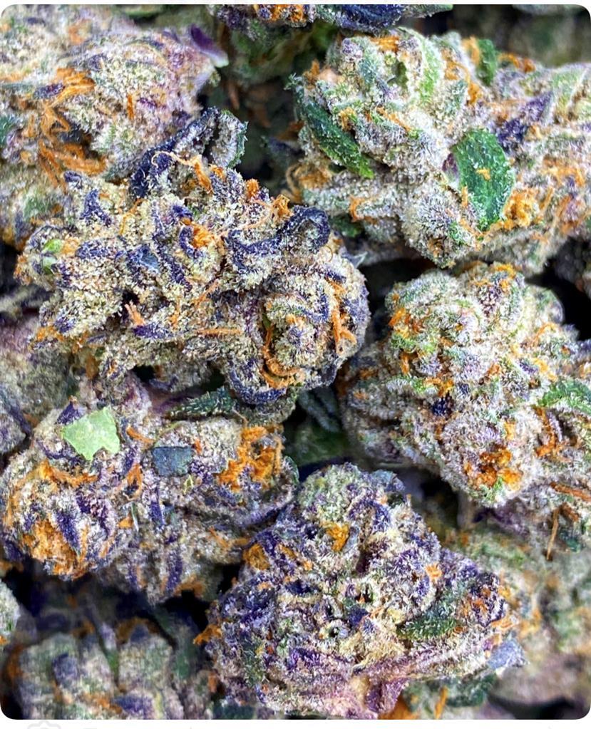 GRAPE GUSHERS: 37.83%