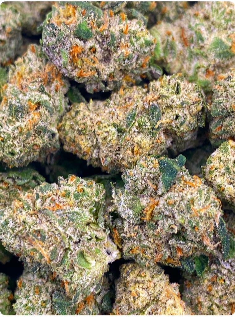 TROPICA THUNDER: 32.0