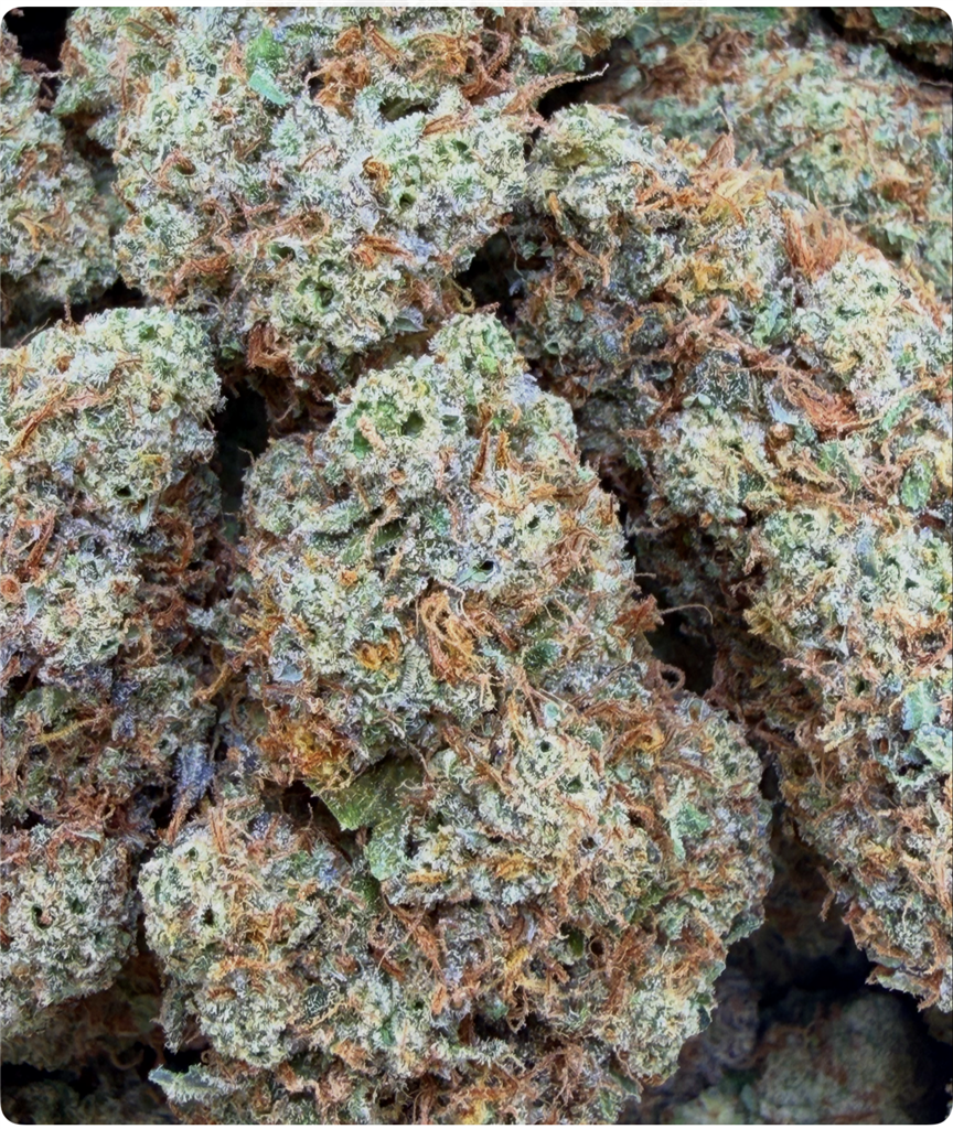 JACK OF ALL LEMONS: 36.34%