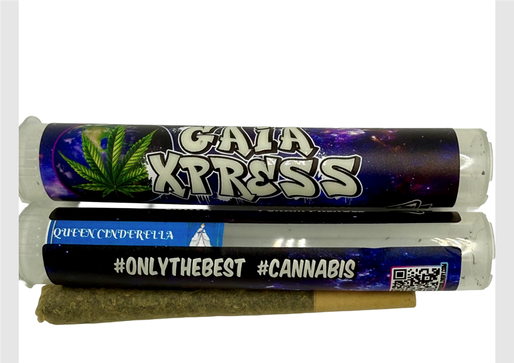 QUEEN CINDEREllA: 28.