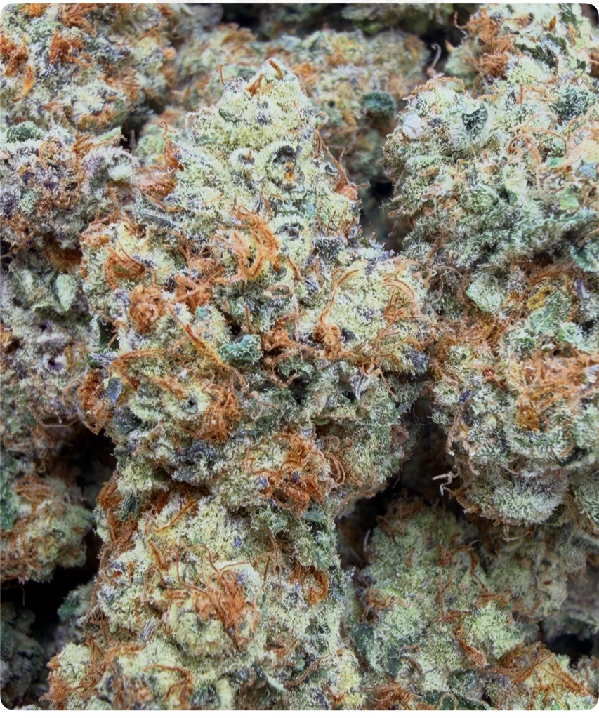 BLUE WAFFLES: 38.84%