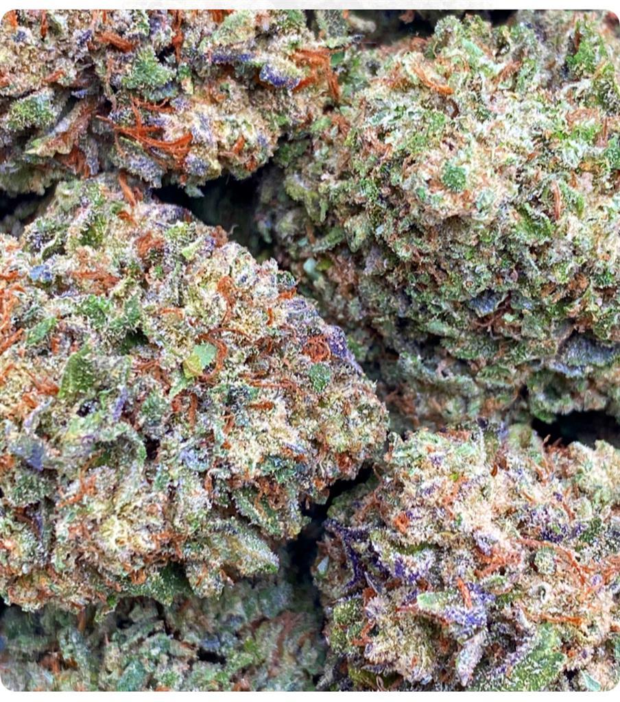 GREEN LIGHTs: 25.46%