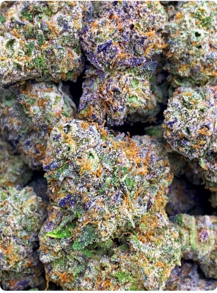 PERMANENT MARKER X SU