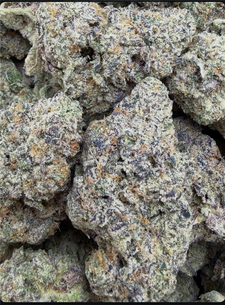 PURPLE URKLE X SNOW MAN: 34.83%
