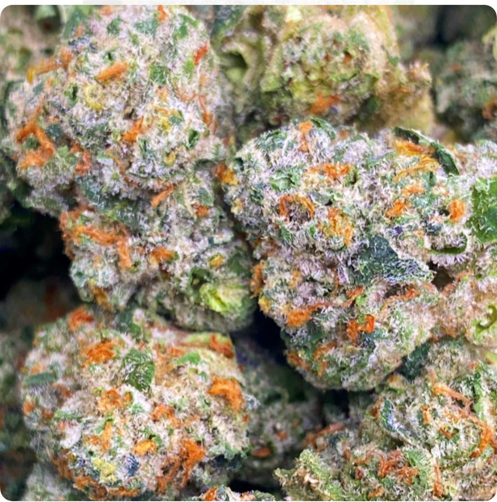 LAMBORGHINI (“LAMBO”)