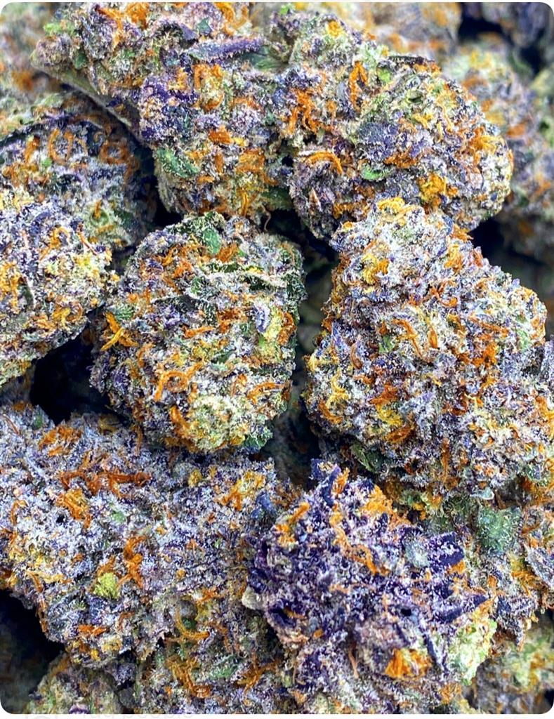 PLATINUM PURPLE COOKI