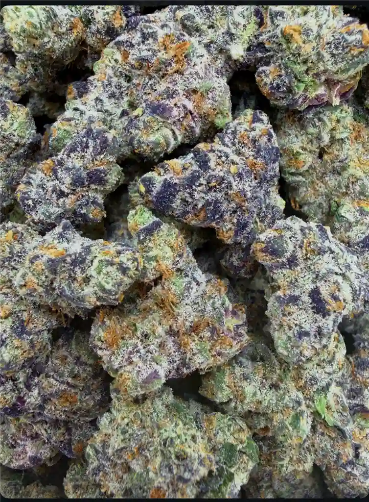 APPLE FRITTER: 34.83%
