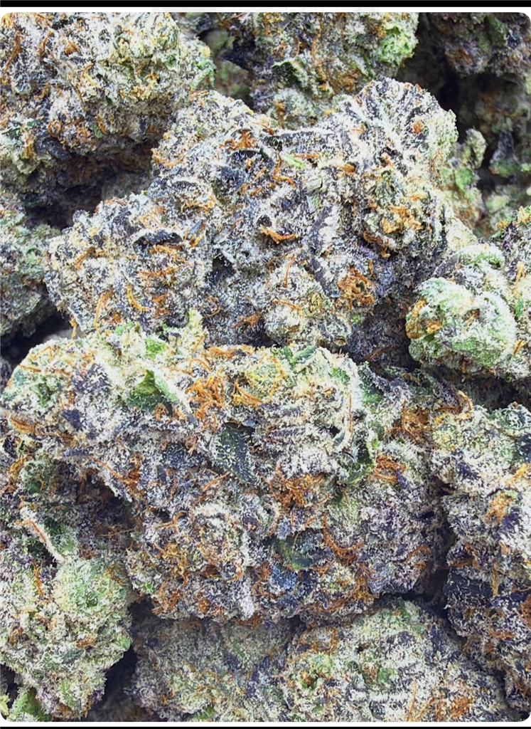 Z-BANGER X INICORNT FARTZ: 39.41%