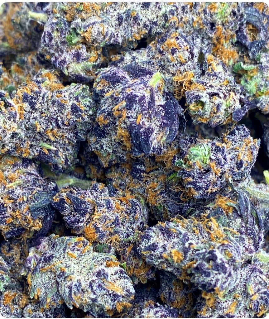 MAGIC PURPLE PETRO: 3