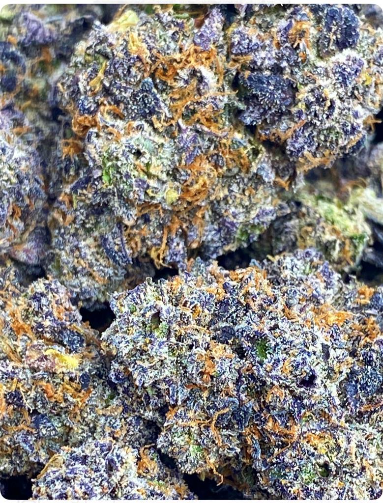 BLACK RUNTZ BIGS 34%