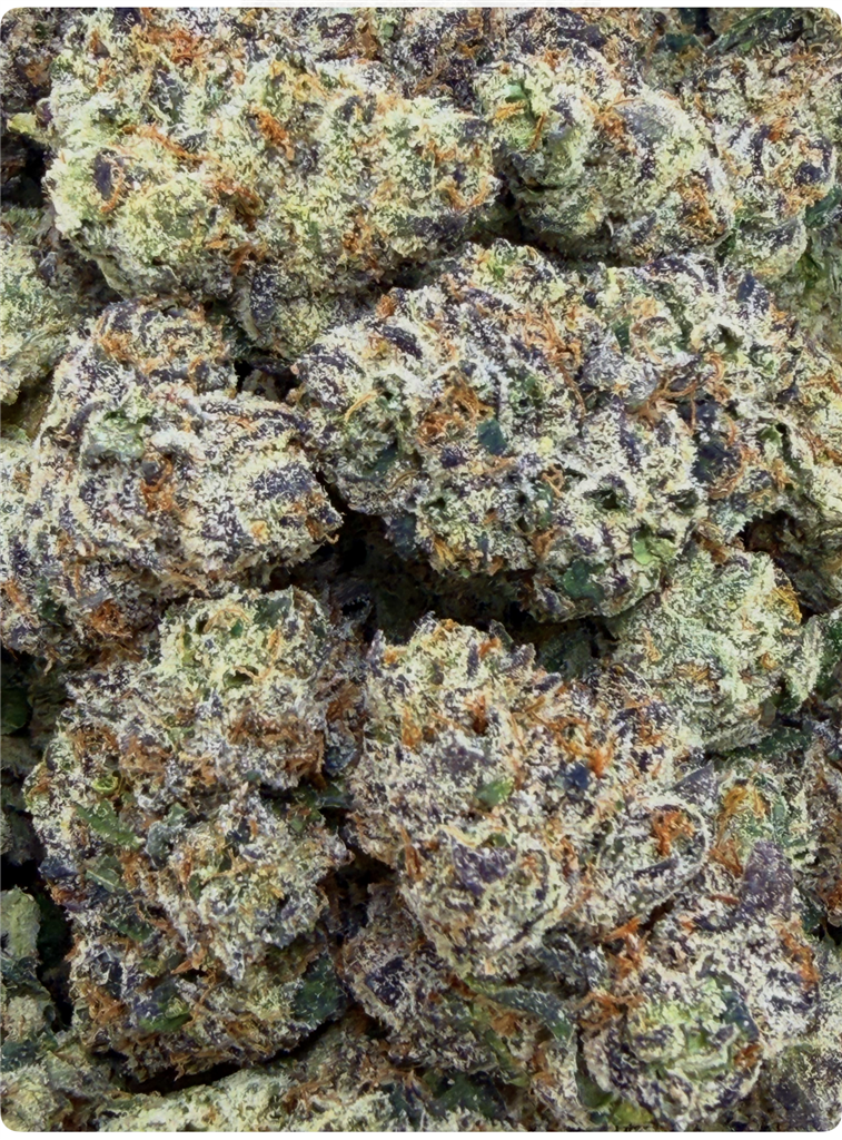 LEOMN CHERRY FACE: 34.28%