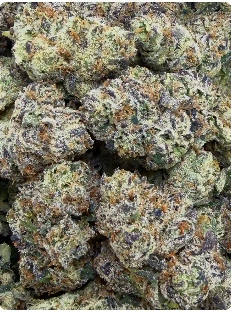 LEOMN CHERRY FACE: 34.28%