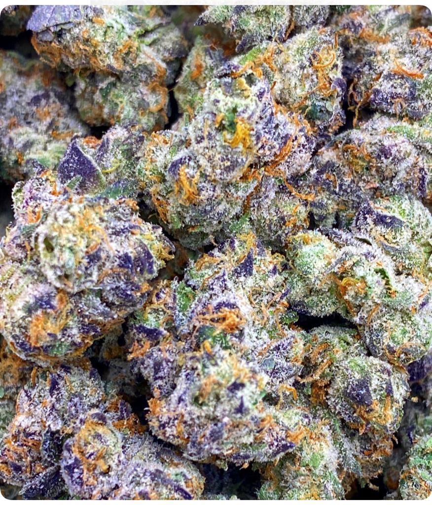 GARY PAYTON X RUNTZ: 