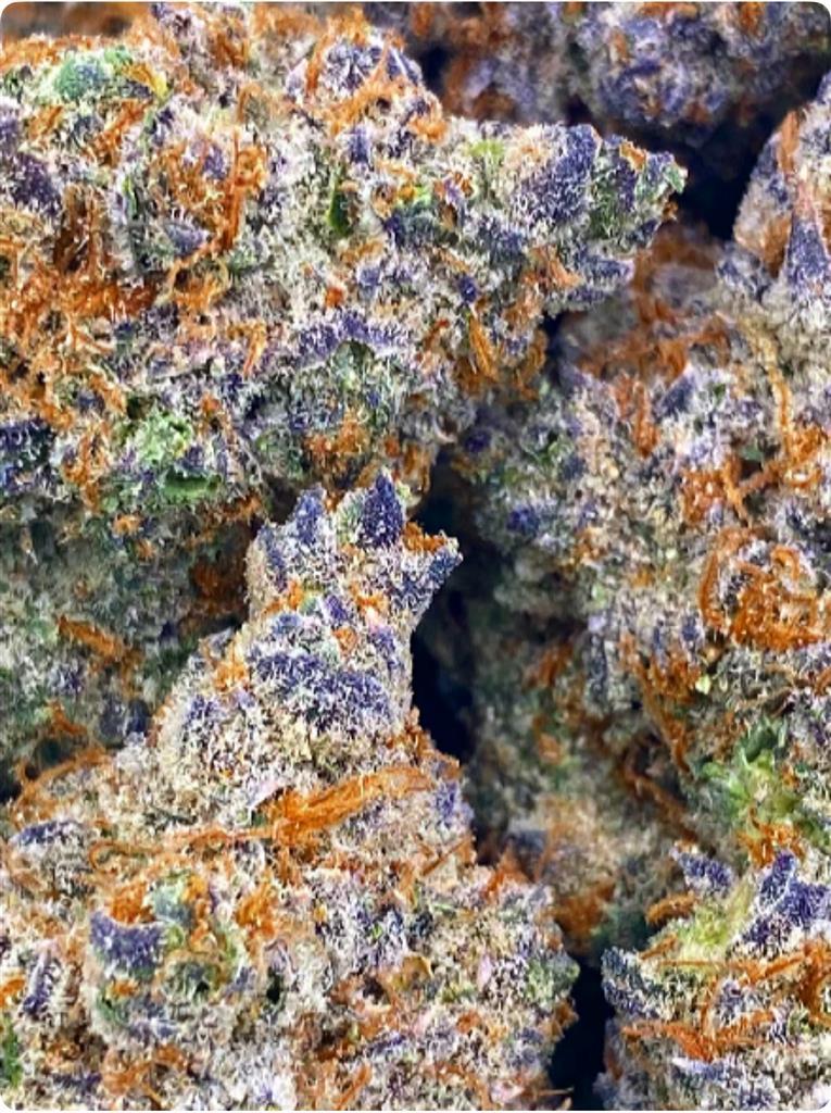 TANGIE X KEY LIME PIE