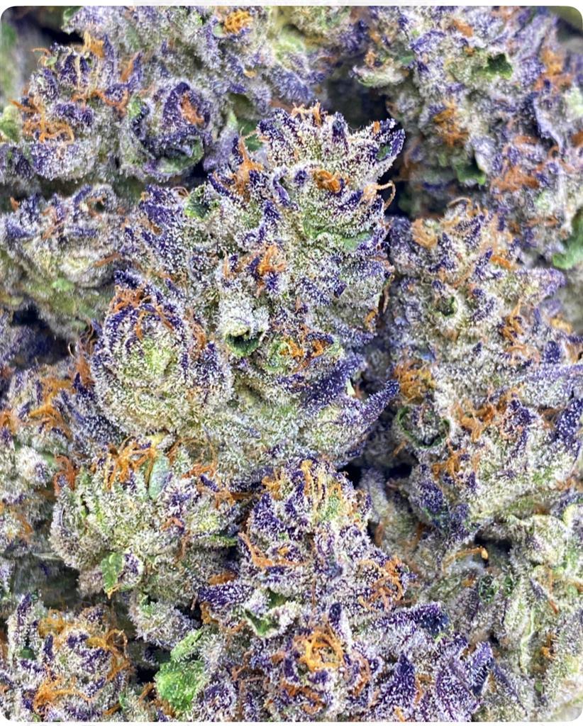 LONDON POUND CAKE: 28