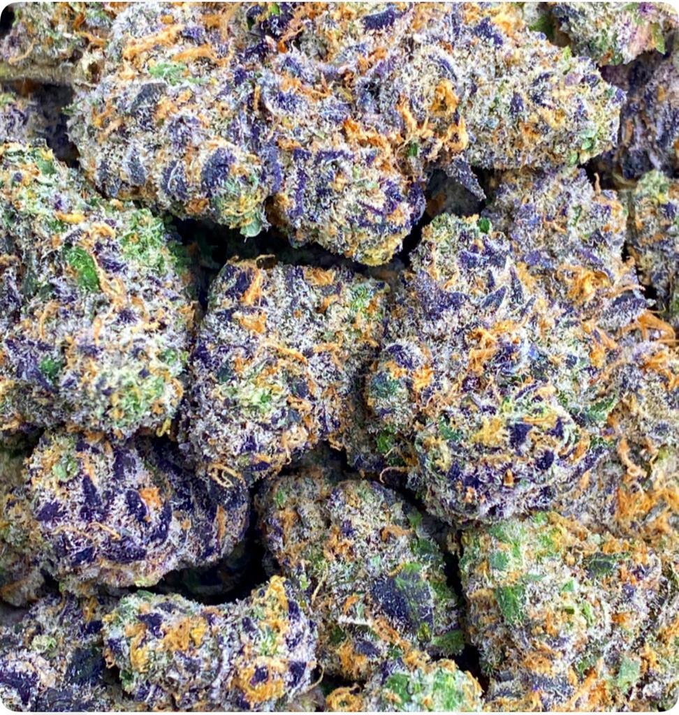 LEMON TRILL X COOCHIE