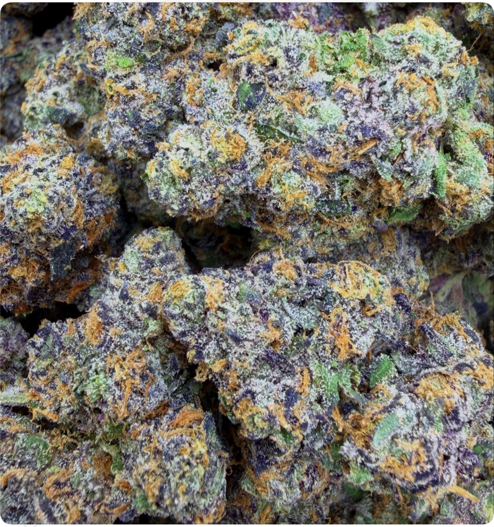 PLATINUM ZOAP X FRANK BANK: 39.55%