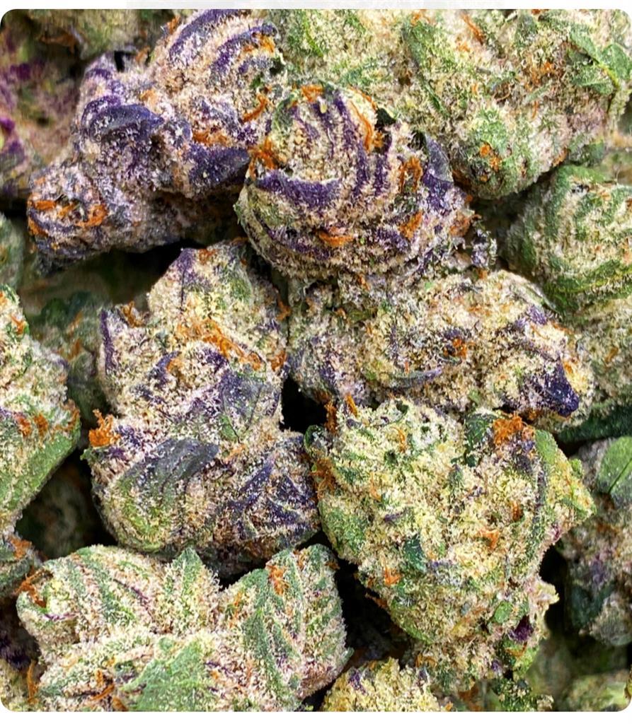 REGULATOR RUNTZ: 33%