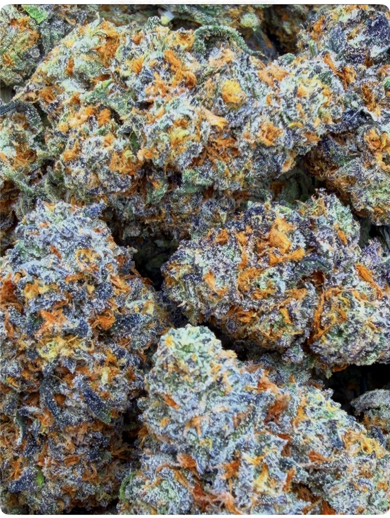 GOAT GAS: 32.91%d