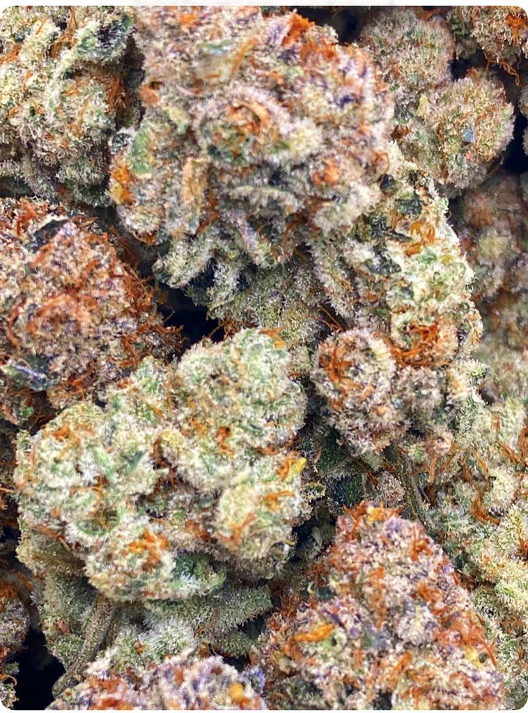 PABLO'S REVENGE: 37.1