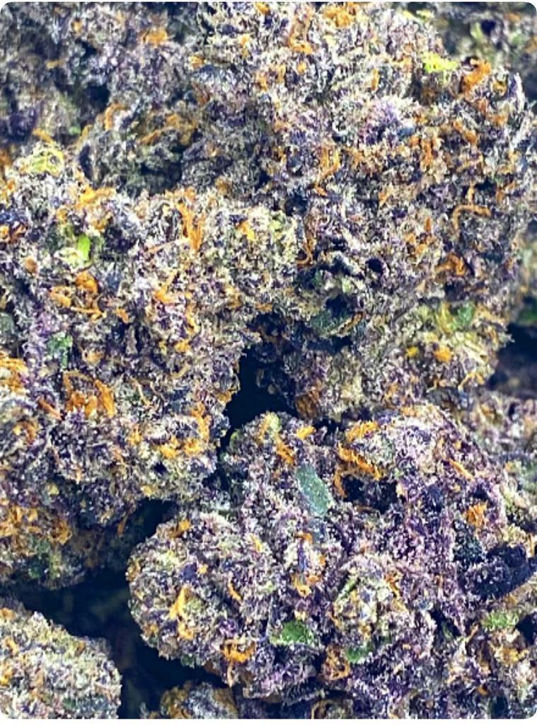 GRAPE ZAMUNE: 40.37%