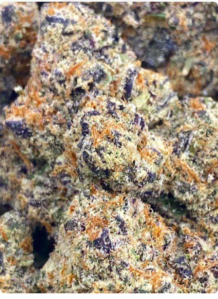 PURPLE LAMBO: 30.