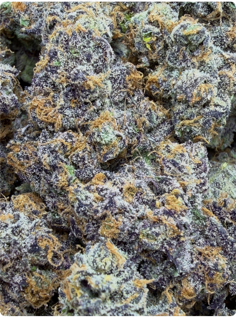THE BLACK: 38.17%