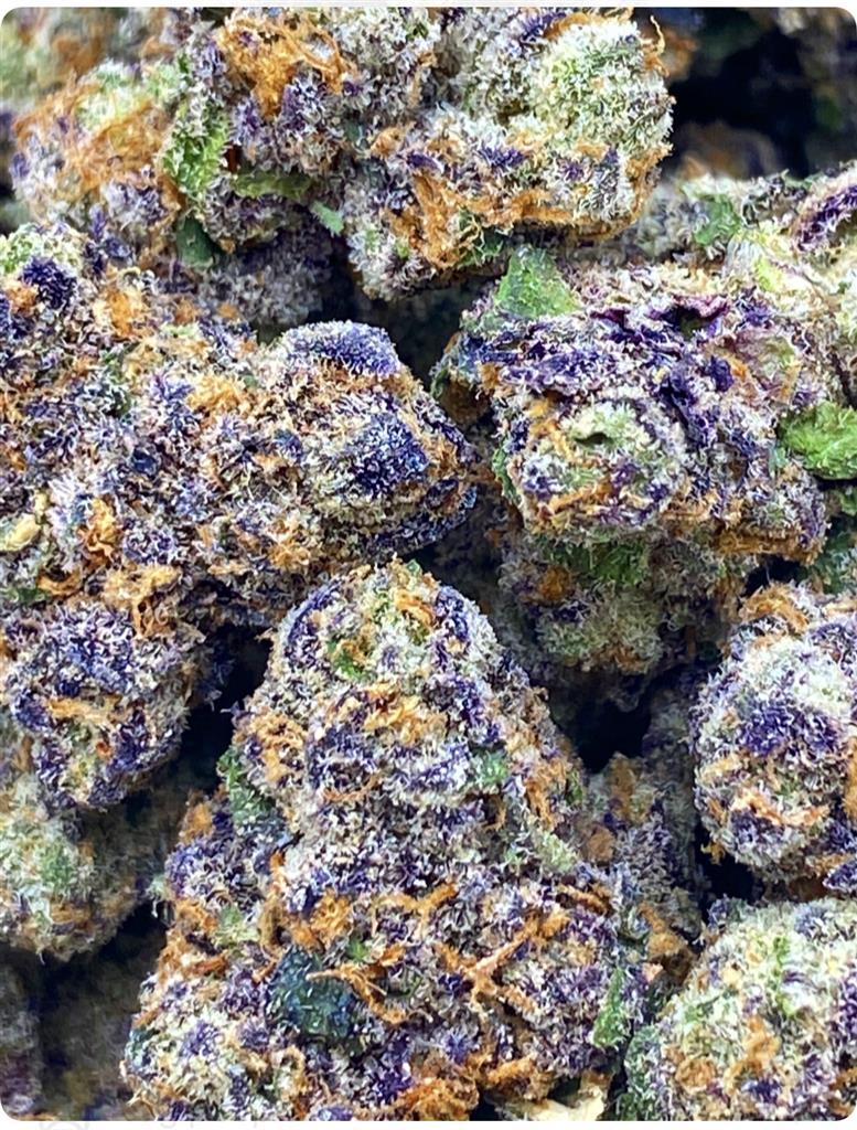 ATOMINC JELLY 