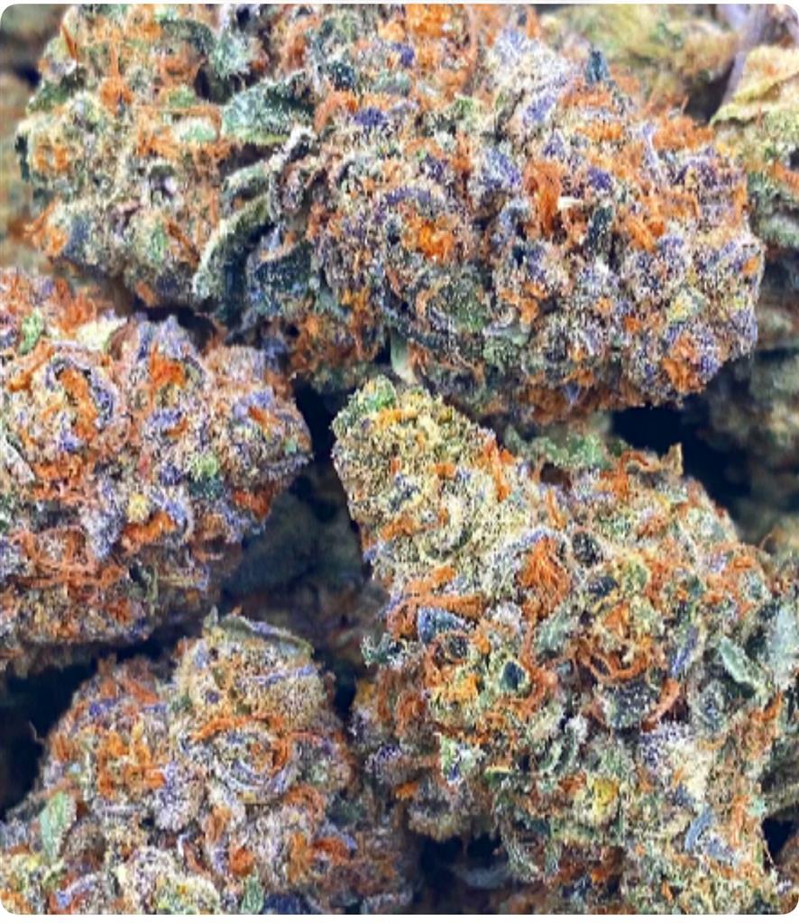 DBL BLUE COOKIES 26%