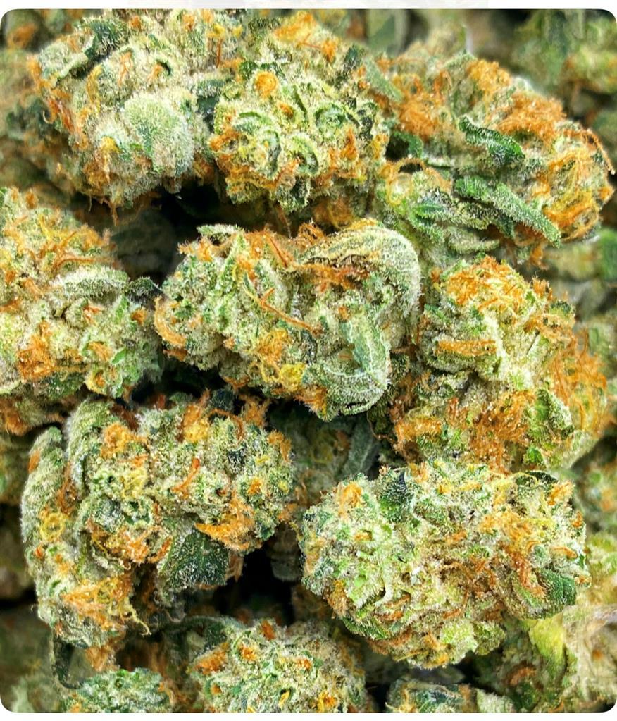 BLUE COOKIE X ZITTLEZ