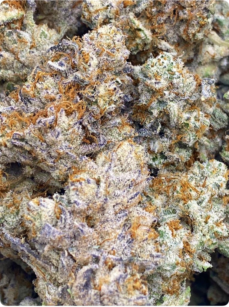 3X GLUE BIG BUDS: 37.82%