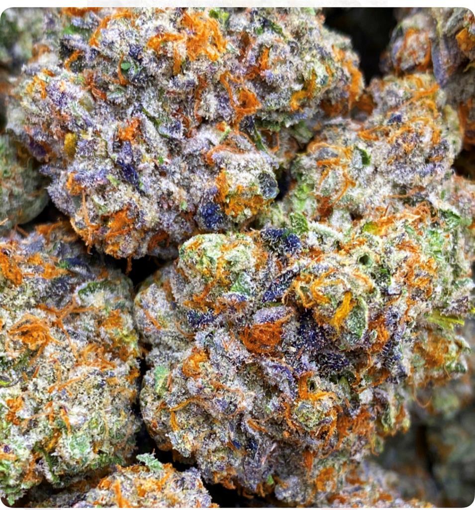 GALATIC BISCOTTI: 37.