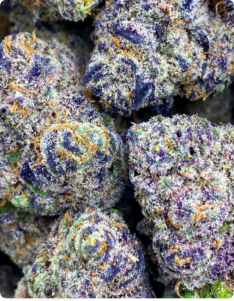 THE BIG BANG: 35.37%