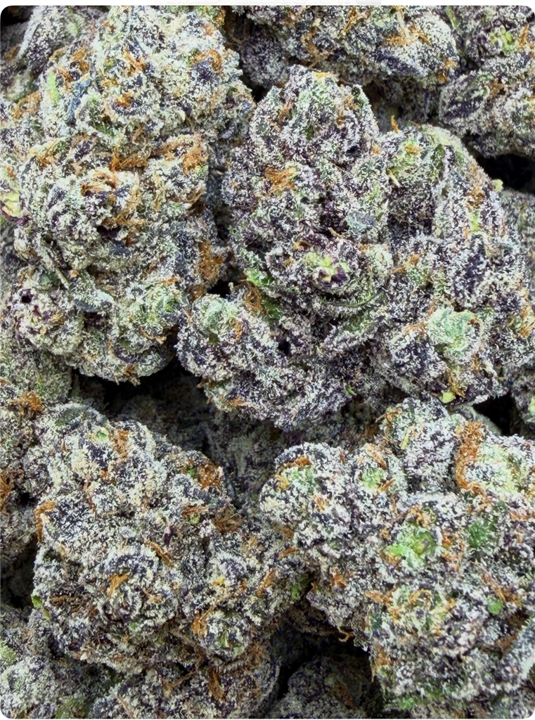 CHERRY BODEGA 39%