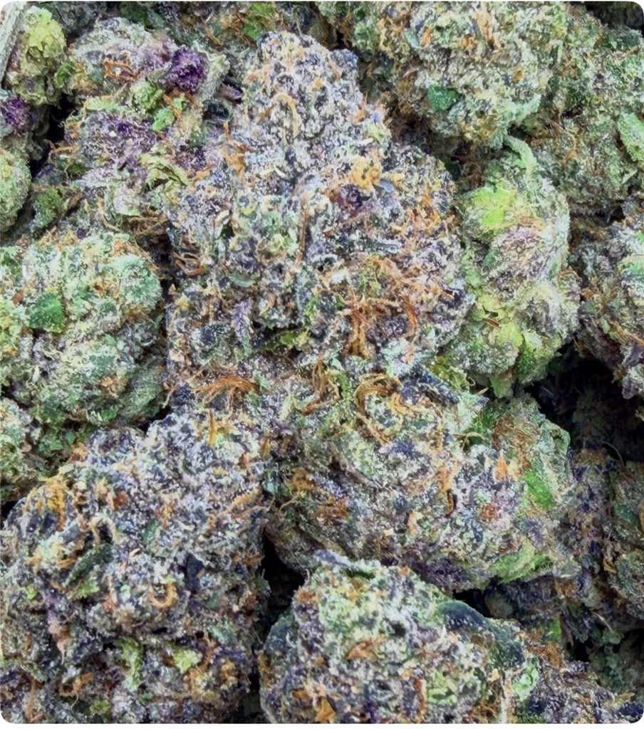 Z-BANGER X INICORNT FARTZ: 39.41%
