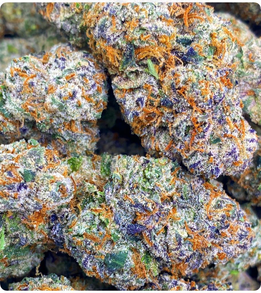 GARY CHERRY : 34.01%