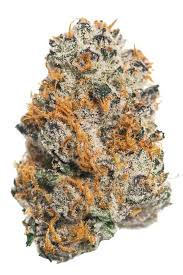 TROPICAL Z-POWER: 35.