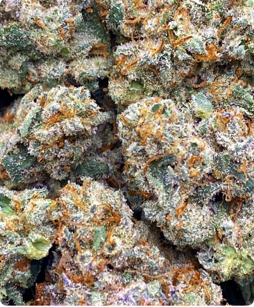 CONNOISSEUR CANDY: 31.21%