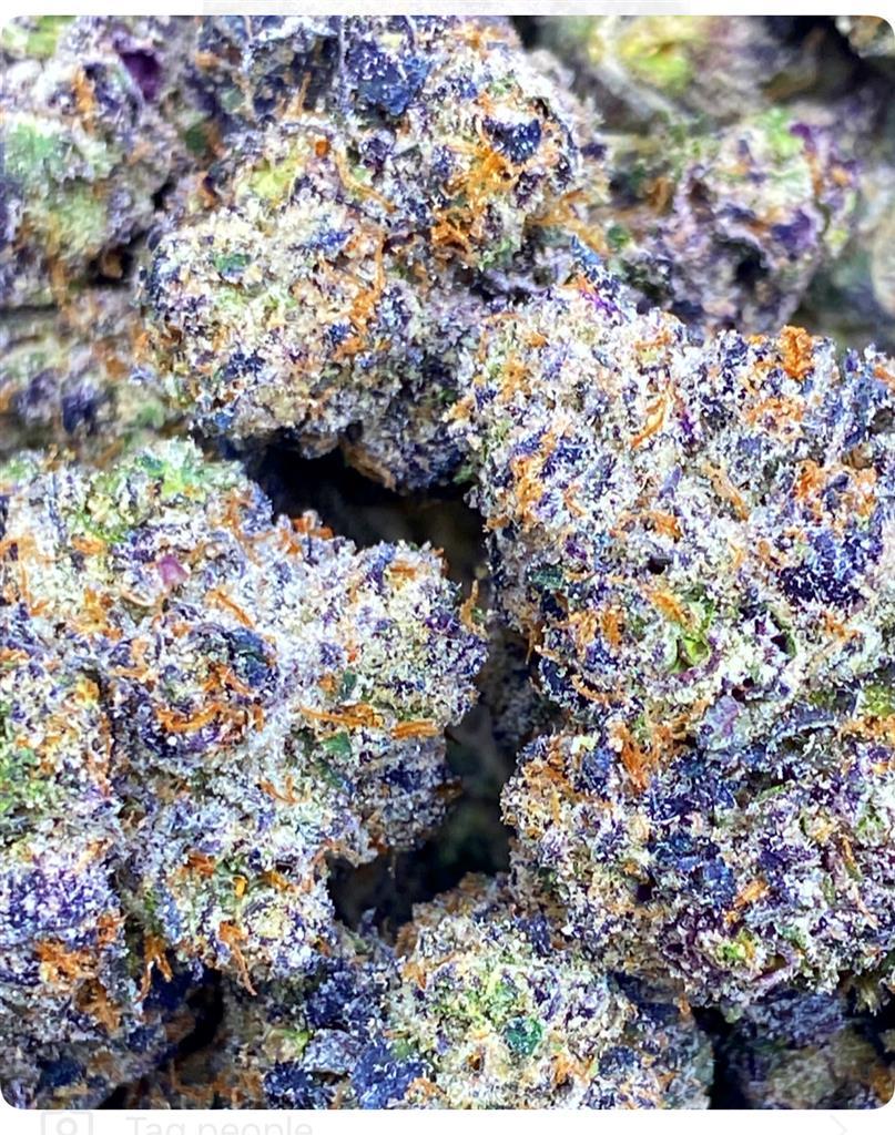 BLACK OUT TRIPLE PURP