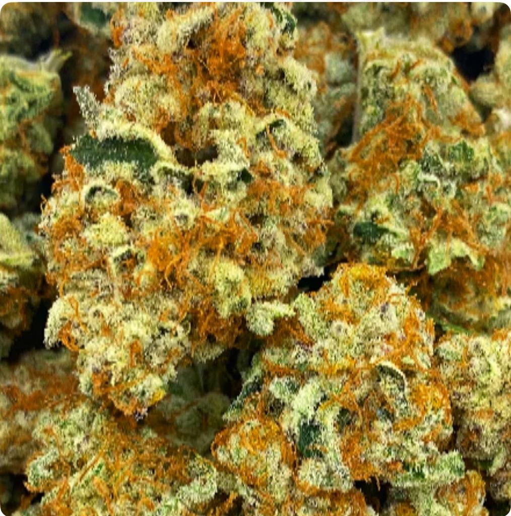 PASSION ORANGE GUAVA: