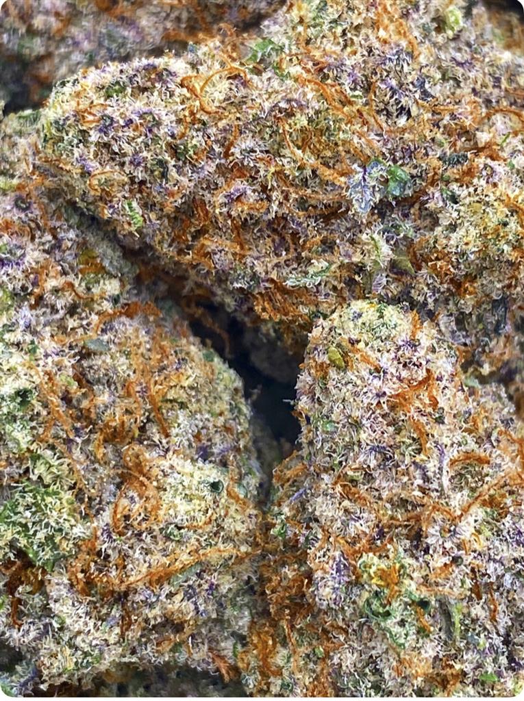 MAC 1 COOKIES: 31.01%