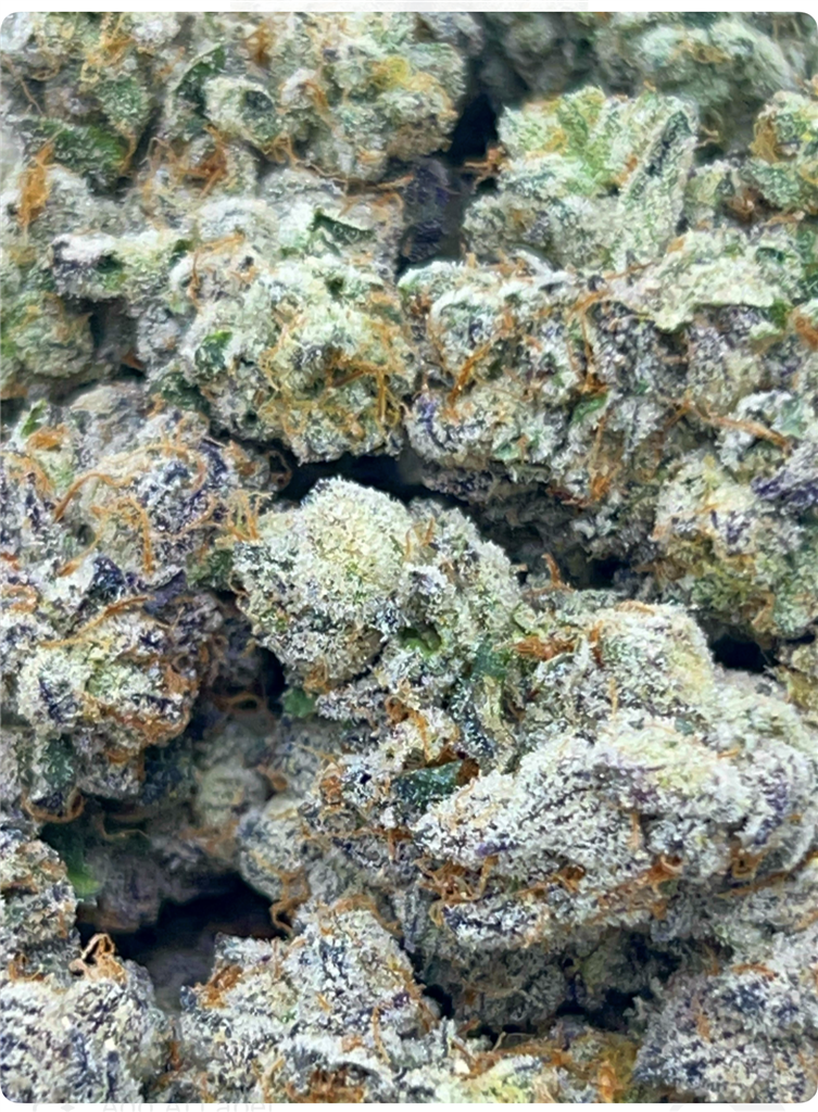 POP ROXS: 39.10%
