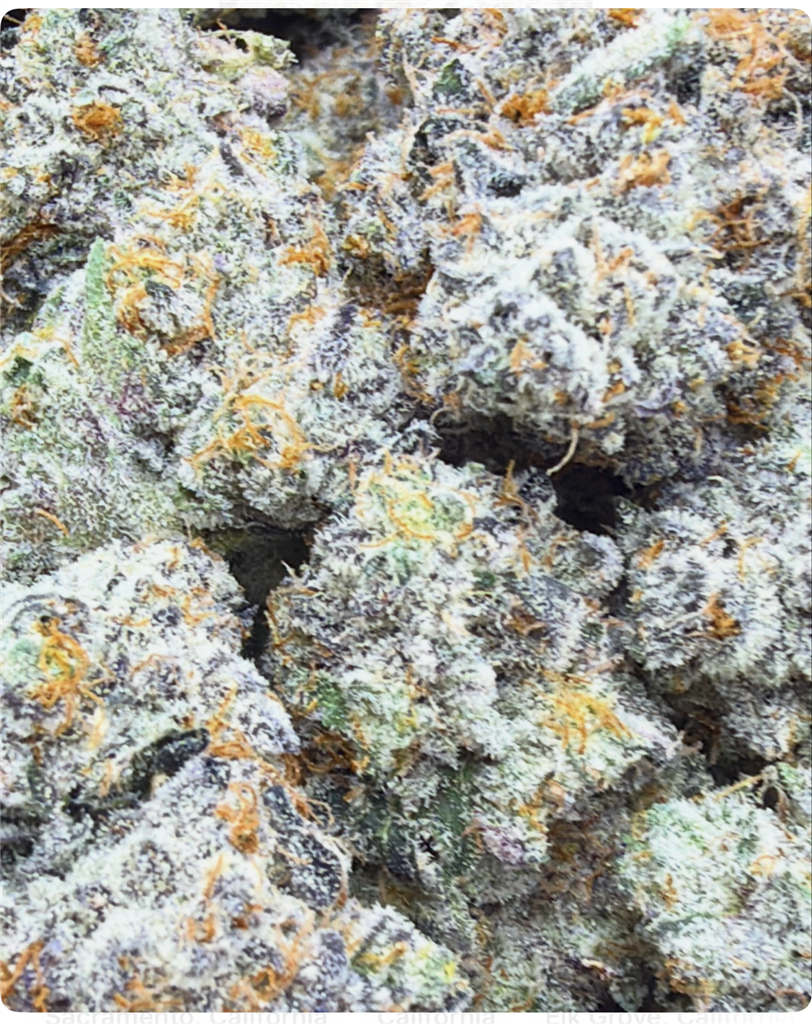 KING GORILLA MAC: 37% 