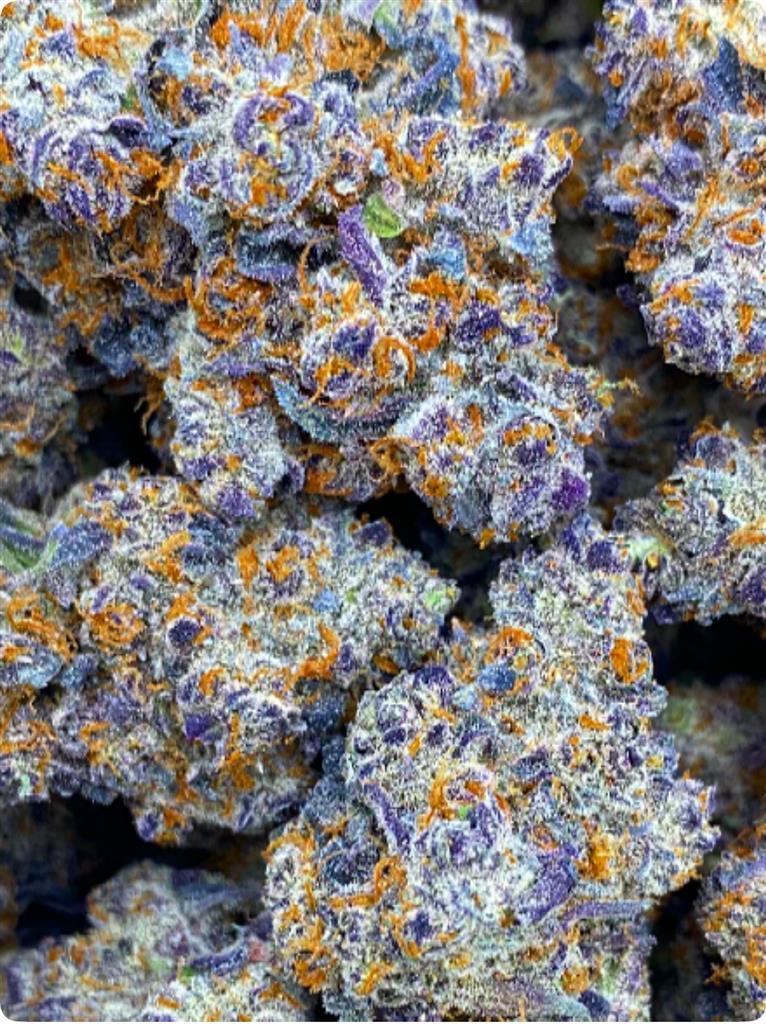 WU-SAW X CHERRY JANE: