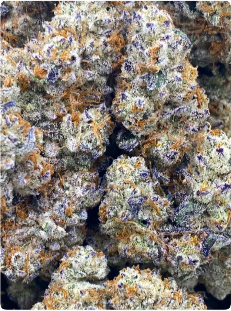 FROSTED HONEY BUNZ