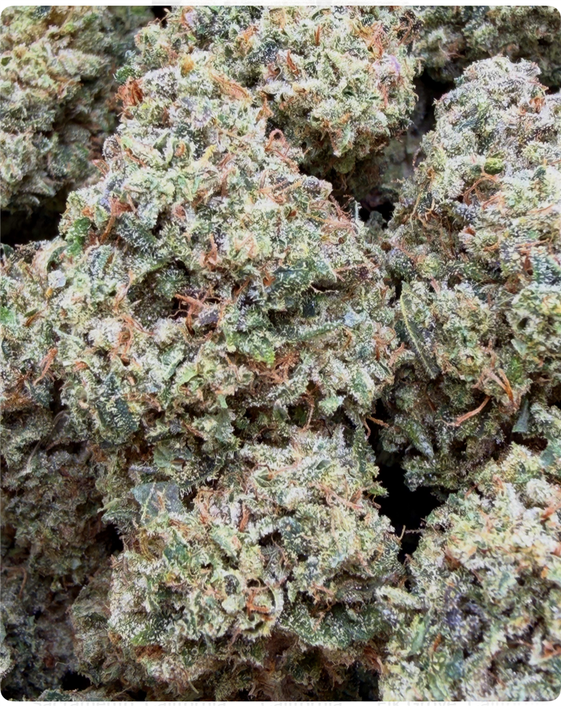 OG DIESEL: 33.15%