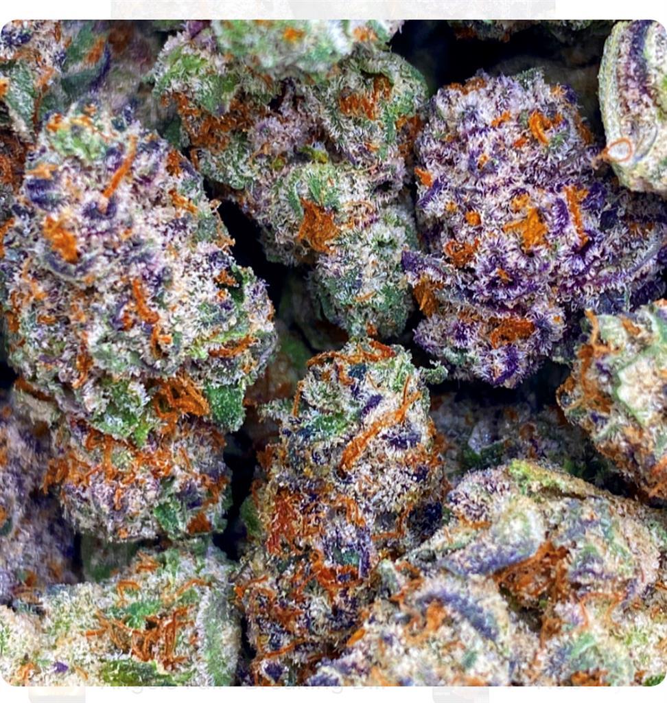 BLACK CHERRY GELATO: 