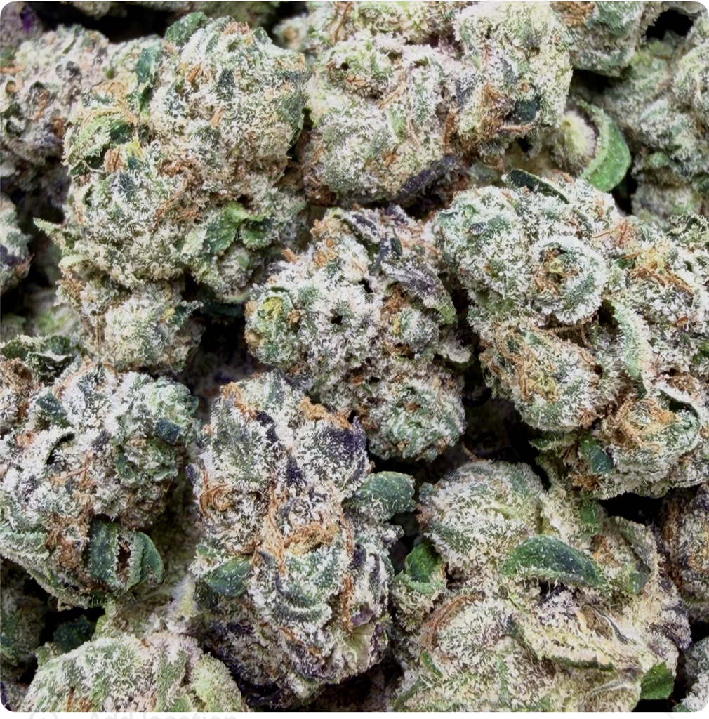 BLUE NERDS: 31.35%