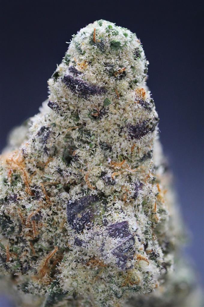 CHERRY GUAVA 39%